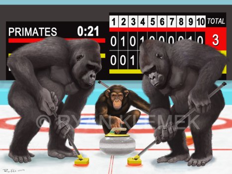 primates playing curling alt-text for image