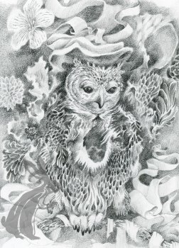pencil drawing of owl surrounded by ribbon and flowers alt-text for image